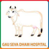 Cow Hospital