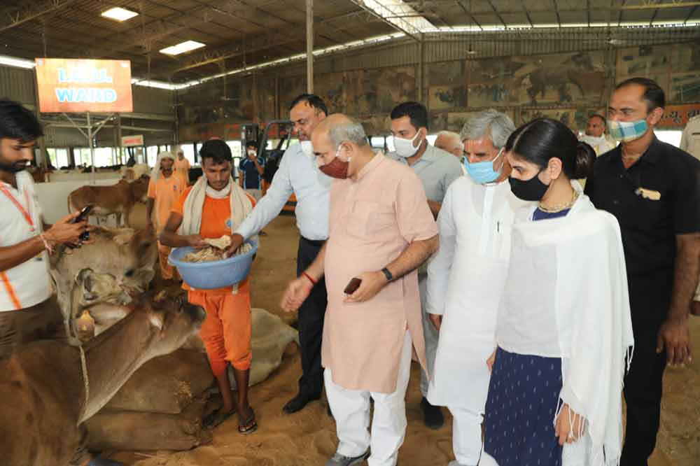 गौ सेवा धाम हॉस्पिटल जैसी जीव सेवा कहीं और नहीं - मूलचंद शर्मा