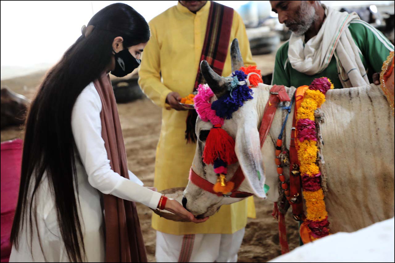 कथा के मध्य धूम धाम से मनाया मकर संक्रांति का त्यौहार।