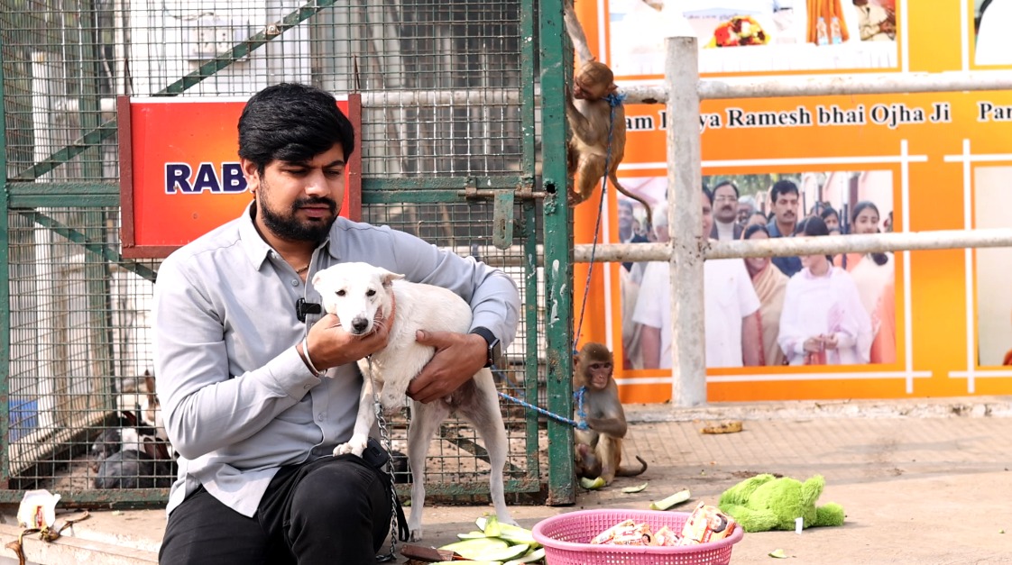 गौ सेवा धाम के सफल रेस्क्यू किये गए जीवों की कहानियाँ।