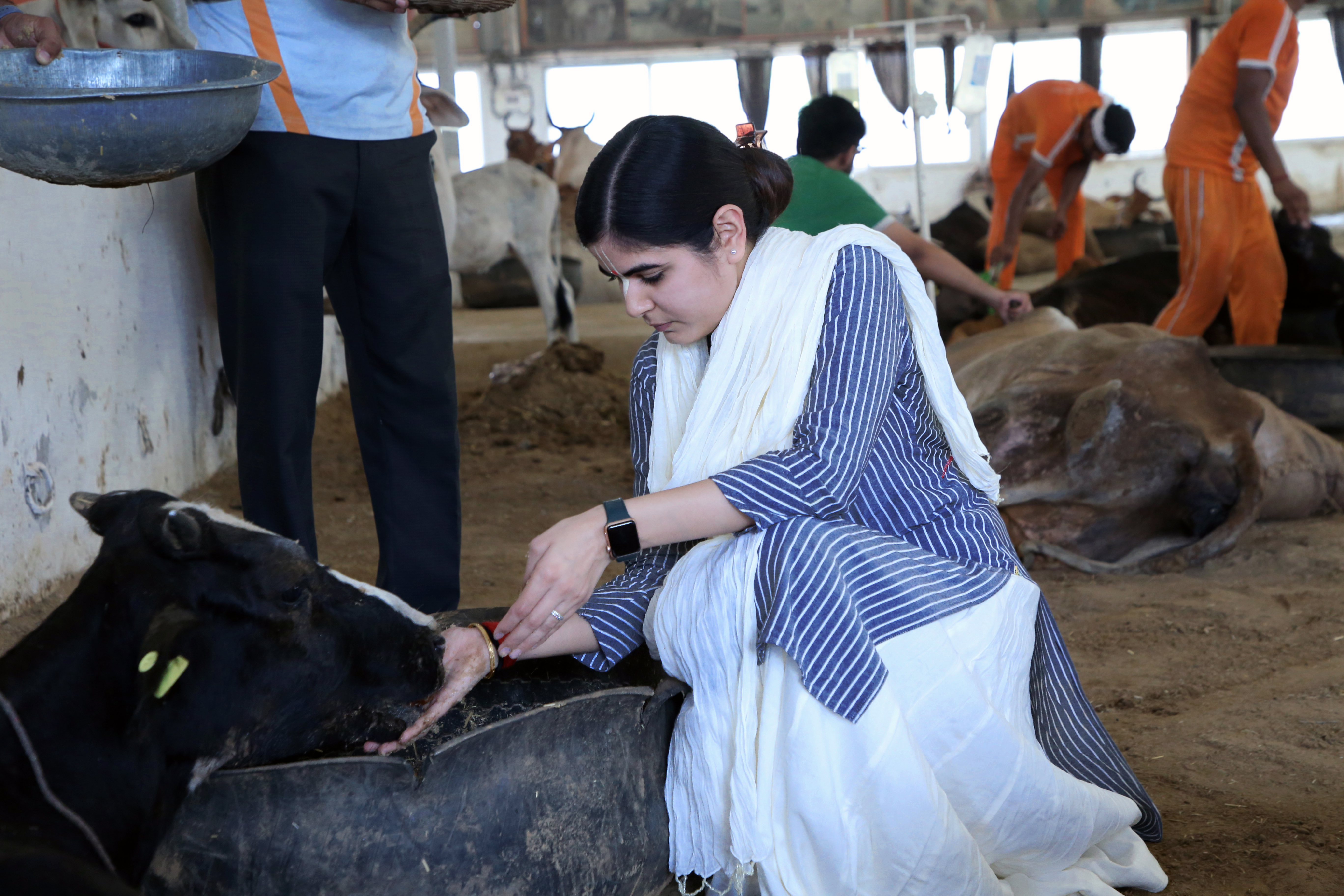 धूमधाम से मनाया गया परशुराम जन्मोत्सव तथा अक्षय तृतीया का पर्व, गौ सेवा धाम ने बीमार गायों हेतु किया विशाल छप्पन भोग का आयोजन